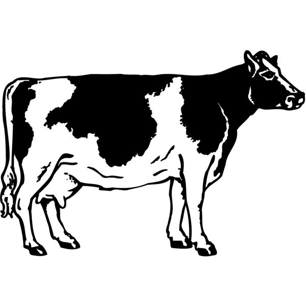 COW024 Thumbnail